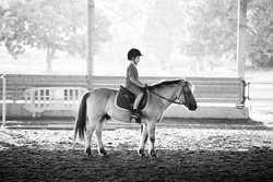 Portrait of little boy riding a horse. First lessons of horseback riding. Monochrome