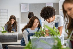 Multiethnic students analyzing plant experiment in school lab. Group of high school students in science laboratory understanding the study of roots. Classmates studying the growth of sprouts.