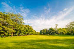Beautiful meadow and tree in the park, Bangkok Thailand