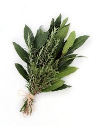 Bunch of aromatic herbs named bouquet garni isolated on white.  Fresh bay leaves,rosemary and thym  tied together with string.