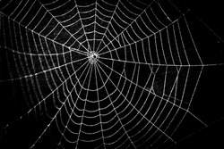 pretty scary frightening spider web for halloween