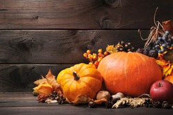 Thanksgiving - different pumpkins with nuts, berries and grain in front of wooden board