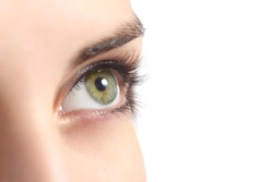Close up of a green woman eye isolated on a white background             