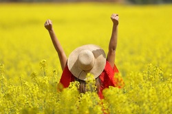 Back view of an excited woman in red wearing pamela raising arms in a yellow field in spring season