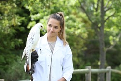 Veterinary wearing white coat holding a falcon in nature