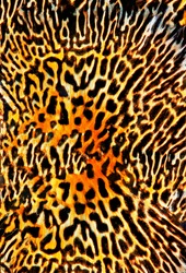 Seamless Tiger pattern background