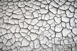 Cracked land texture. Beautiful nature background for your project