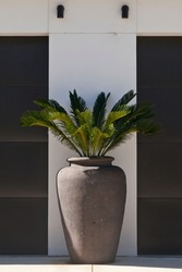 pot plant symmetry green brown white palm spike contemporary  urn pot
