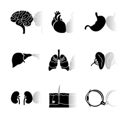 body organs icons