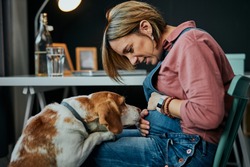 Smiling charming caucasian pregnant woman sitting at home office, touching belly and looking at her beloved dog. Dog is curious and wants to play with her.