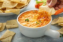Buffalo chicken dip served with chips and fresh vegetables