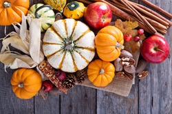 Pumpkins, nuts, indian corn and apples on a rustic table overhead corner frame with empty space