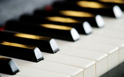close-up of piano keys. close frontal view.