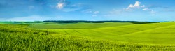 Panoramic view of beautiful yellow-green field hils with blue sky
