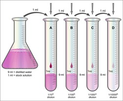Dilution In Chemistry

