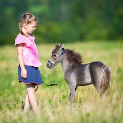 Small child with a small miniature horse walking in field. Girl and foal outdoors. Cute mini horse and child in summertime