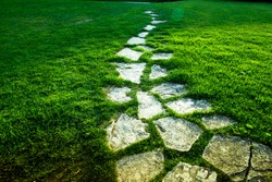 Stone Pathway on green grass