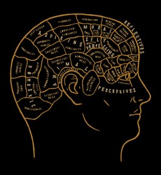 Human brain scheme vintage vector illustration. Incredibly detailed mind map typography illustration with human head divided in sectors.