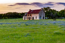 An Interesting Abandonded Old Rock Homestead in a Beautiful Field Loaded with the Famous Texas Bluebonnet (Lupinus texensis) Wildflowers.