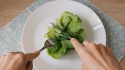 Diet concept. Single leaf of lettuce on a plate.