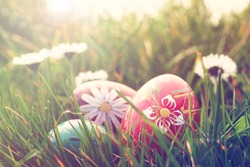 easter eggs and daisies in the grass