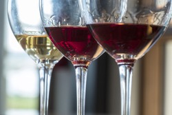 Tasting a Flight of Three Wines in a Winery