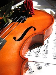 Violin on music sheet and red rose