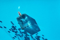 Transparent bottle of perfume on a blue background. Fragrance presentation with daylight. Trending concept in natural materials with plant shadow. Women's and men's essence.