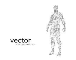 Abstract vector illustration of human body on white background