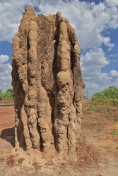 Cathedral termite mound of up to 5 metres high made by the Amitermes meridionalis-magnetic termite species next to the Arnhem Highway on route to the Kakadu National Park west boundary. NT-Australia.