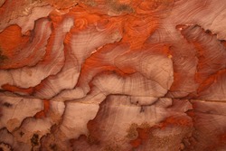 The multi-colored exposed sandstone rock and mineral layers in the ancient tombs of Petra, Jordan.Sandstone pattern,geological texture in Petra,Jordan.Petra is an Unesco World Heritage site.red stone