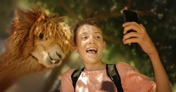 Selfie time in the zoo! Cute boy with his friend lama making selfie, smiling and have fun in the countryside. Cool weekend