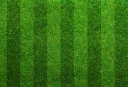 Green grass soccer field background 