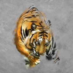 painting a tiger on the wall