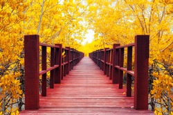 Red wooden bridge into the autumn forest.
