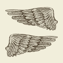 Hand drawn vintage wings. Sketch vector illustration