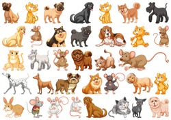 Set of pet character illustration