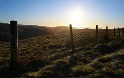 Distant views of Shillhope Law from the summit of Swineside Law on a sunny winters morning in the Northumberland Cheviot mountains at sunrise, UK.