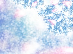  winter woods. Winter landscape. Snow covered trees. christmas background