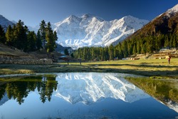 Nanga Parbat reflected in a pond at Fairy Meadows. The world's ninth highest mountain towering above idyllic alpine scenery in Northern Pakistan.