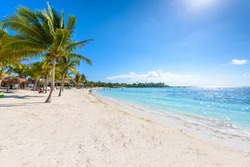 Akumal beach - paradise bay  - tropical beach in Quintana Roo, Mexico - caribbean coast
