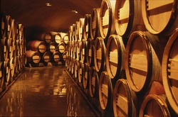 Wine barrels in cellar. Cavernous wine cellar with stacked oak barrels for maturing red wine.