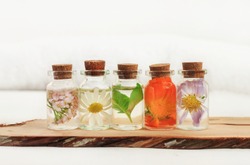 Different holistic herbs in oil bottles in a row on a wooden plank, light background. Chamomile, calendula, basil herbal aroma therapy. 
