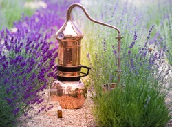Distilling apparatus alembic with esential oil between of lavender field lines. Illustration of essetial oil distillation.