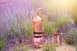 Distilling apparatus alembic on the ground with esential oil between of lavender field lines.