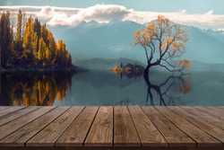 Wood display shelf on Reflection lone Tree in Lake  Wanaka Background,New Zealand