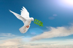 White Dove carrying leaf branch on blue sky background and international day of peace 2017