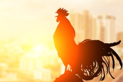 2017 new year concept,Silhouette of  Rooster chicken cockcrow on morning top view city