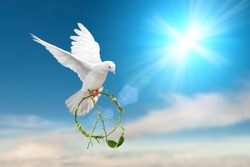 white dove holding green branch in pacification sign shape flying on blue sky for freedom concept in clipping path,international day of peace 2019