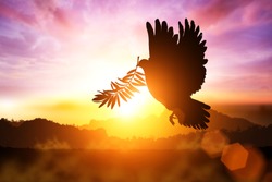Silhouette of Dove carrying olive leaf branch .Freedom concept  and international day of peace 2022 ,Pray for Ukraine and No war concept